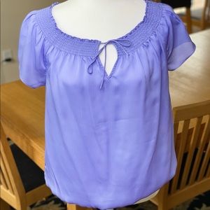Ann Taylor Periwinkle Shirt